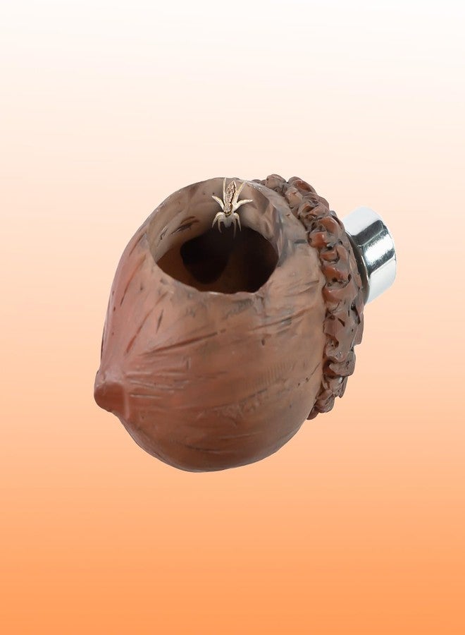 Oiibo Jumping Spider Hideout and Feeding Dish, 3 in 1 Nut Shaped Hide Cave Sets for Spider Playing Feeding Climbing, Enclosure Accessories - Image 5